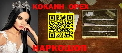 гидра Краснознаменск