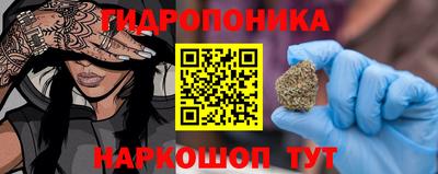 гидра Краснознаменск