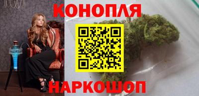 гидра Краснознаменск