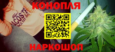 гидра Краснознаменск