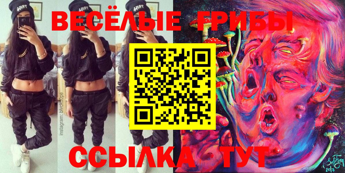 Галлюциногенные грибы GOLDEN TEACHER  Галлюциногенные грибы Magic Shrooms  Еманжелинск  Вход с VPN 
